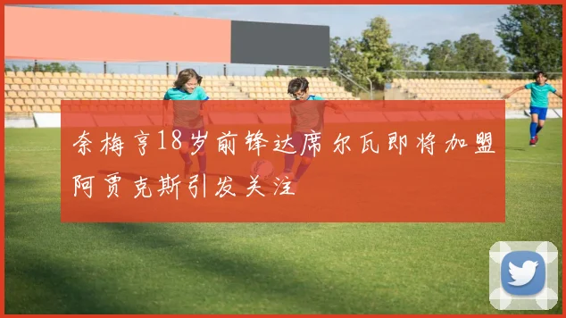 奈梅亨18岁前锋达席尔瓦即将加盟阿贾克斯引发关注