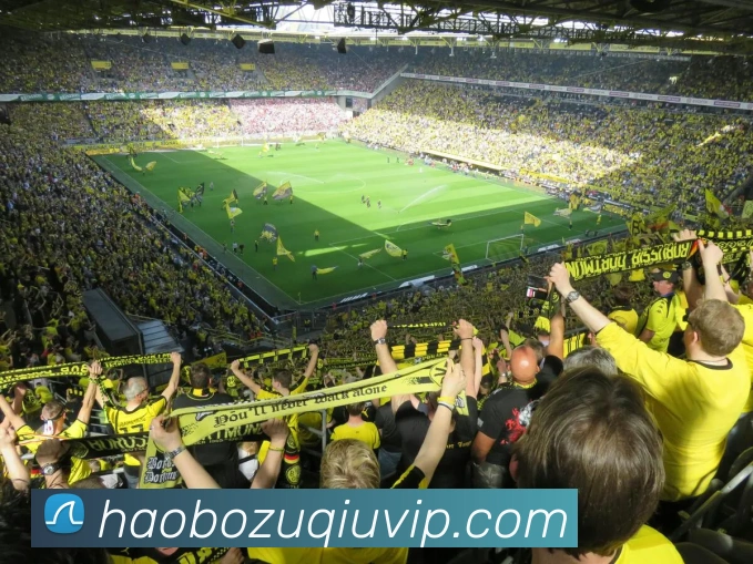 好博体育平台生态图