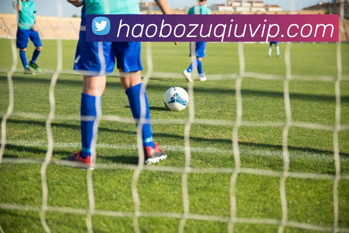 好博体育APP 封面图